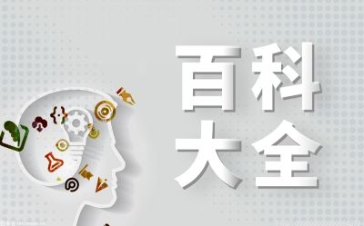 KAIYUN网页 开云com沙糖桔价格是多少钱一斤？沙糖桔的
