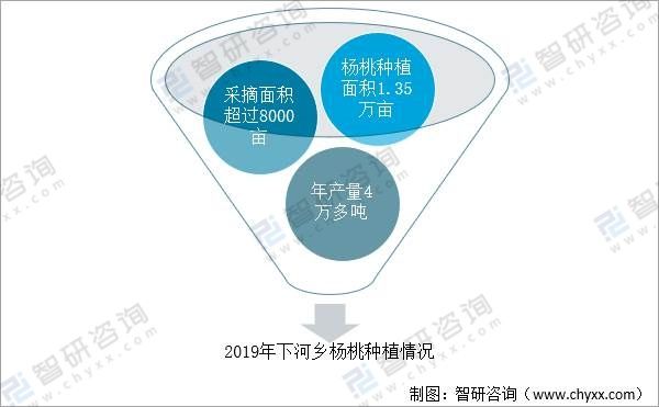 kaiyun网站清甜、多汁、鲜嫩！这个最被低估的水果之一就藏在小学语文课本里。(图2)