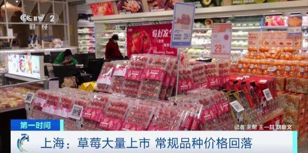 KAIYUN网页 开云com冲上热搜！这种水果价格腰斩了