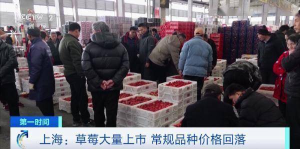 KAIYUN网页 开云com冲上热搜！这种水果价格腰斩了(图3)