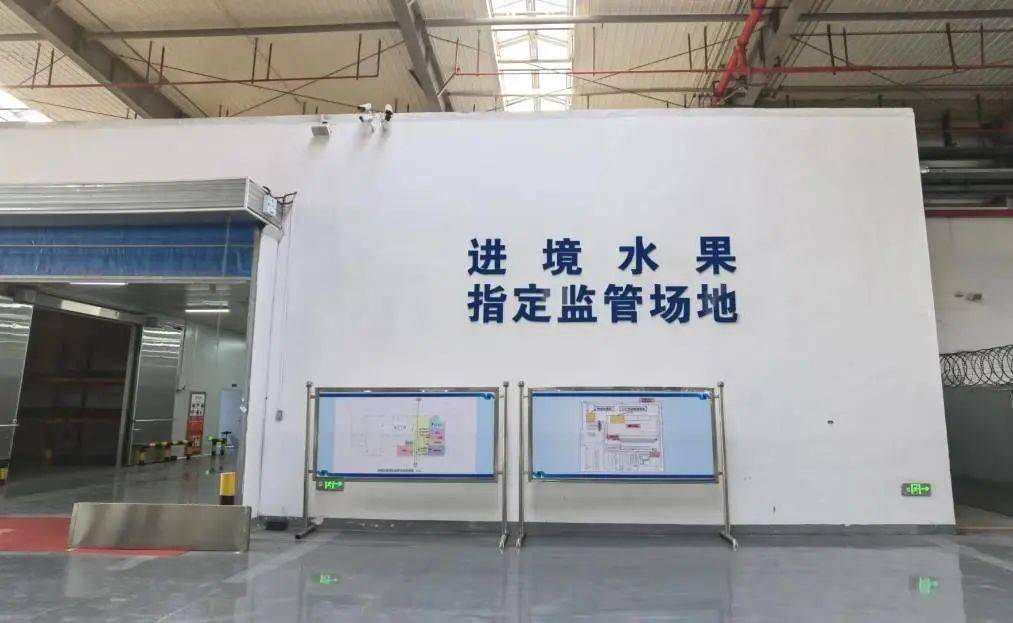 进境新鲜水果通关知识小课堂kaiyun网站
