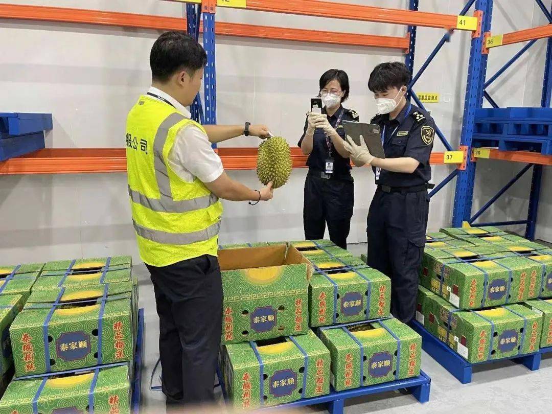 进境新鲜水果通关知识小课堂kaiyun网站(图8)