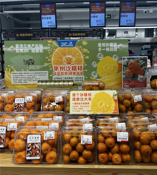 甜蜜来袭！象州沙糖桔在长三角火热上KAIYUN网页 开云co