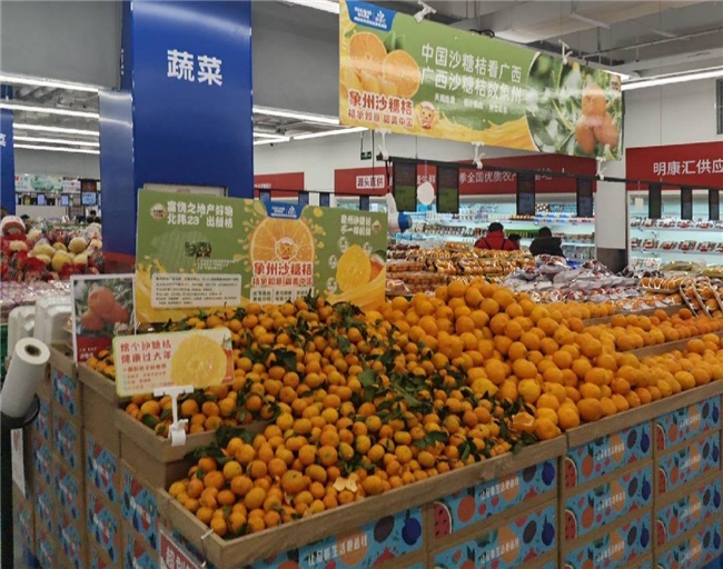 甜蜜来袭!象州沙糖桔在长三角火热上KAIYUN网页 开云com市(图5)