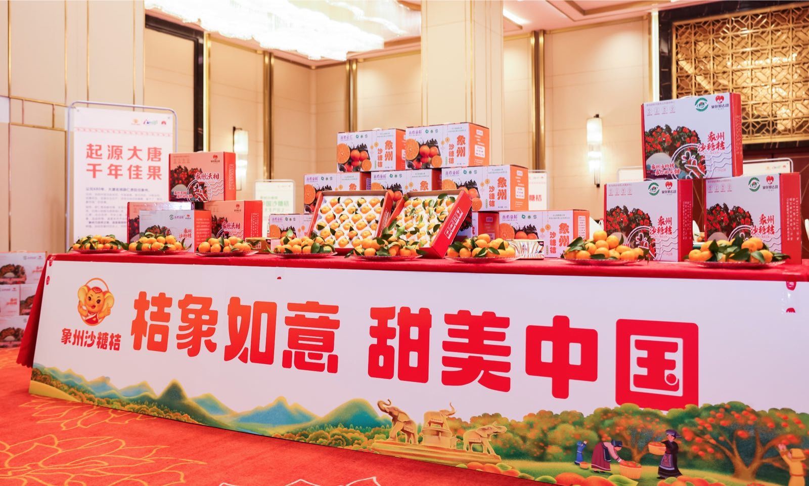 象州沙糖桔进军全国高端市场 开启品牌新征程kaiyun网站(图2)