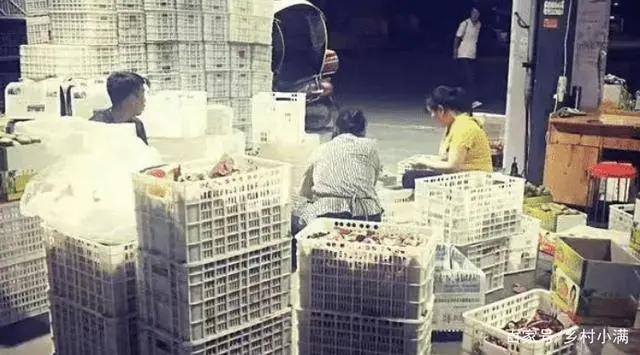 kaiyun网站8月底才成熟7月就开始上市果农：别人都早摘自己能咋办？(图5)