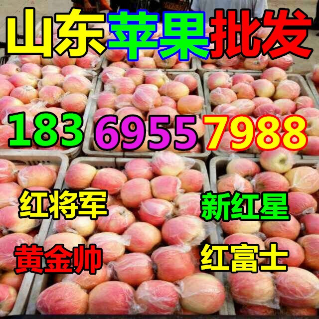 KAIYUN网页 开云com水果苹果批发价格产地(图3)