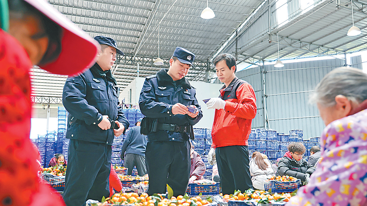 kaiyun网站“农忙警务”护冬收砂糖橘“出行”顺畅安全！