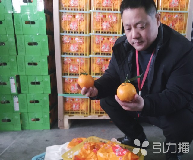 Kaiyun网址 开云时令水果吃起来 春季苏城新鲜水果集中上市(图2)