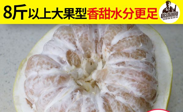 最适合冬天吃的“新鲜水果”美味多汁补充维生素提高免疫力Kaiyun网址 开云(图6)