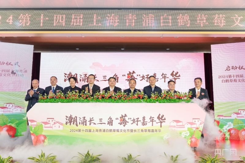 kaiyun开云网站 Kaiyun开云沪产草莓走出国门 青浦