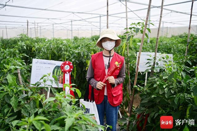 2300多种品种供参观采摘！南国Kaiyun网址 开云小记者探营三亚南繁第一口鲜采摘节(图5)