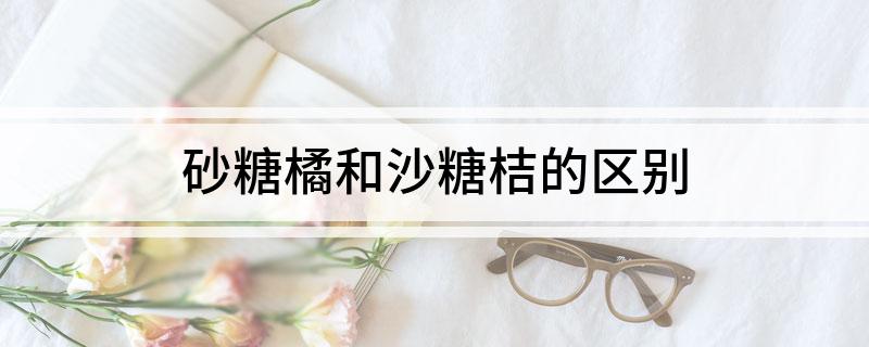 kaiyun开云网站 Kaiyun开云砂糖橘和沙糖桔的区别
