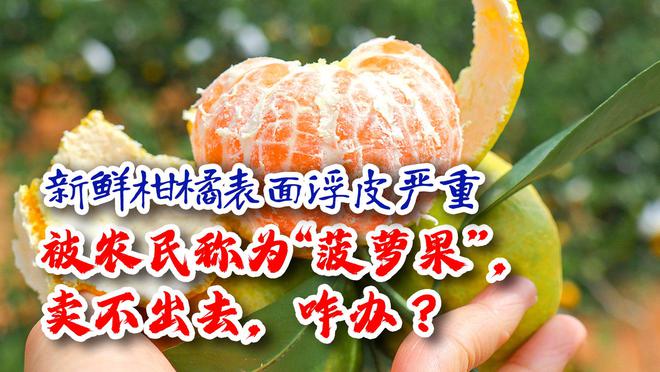 kaiyun开云网站 Kaiyun开云砂糖橘、蜜桔等柑橘表面