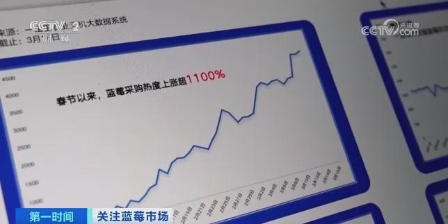 卖爆！订单增长超1600%！商家纷纷到云南“抢货”水果“销冠”是它！Kaiyun网址 开云(图9)