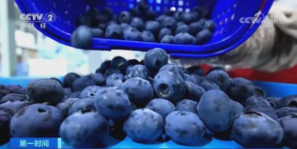 卖爆！订单增长超1600%！商家纷纷到云南“抢货”水果“销冠”是它！Kaiyun网址 开云(图14)