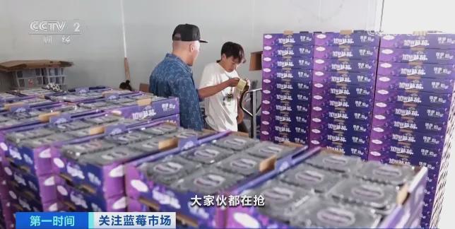 卖爆！订单增长超1600%！商家纷纷到云南“抢货”水果“销冠”是它！Kaiyun网址 开云(图6)