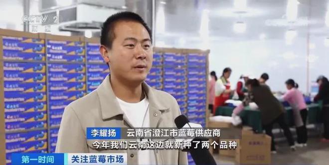 卖爆！订单增长超1600%！商家纷纷到云南“抢货”水果“销冠”是它！Kaiyun网址 开云(图5)