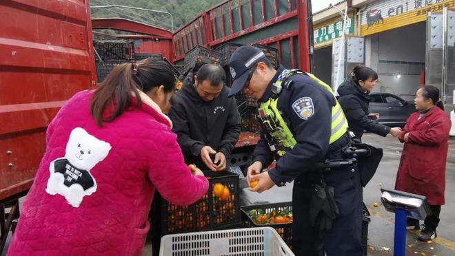沙KAIYUN网页 开云com糖桔散落一地 幸亏高速民警热心帮助(图5)