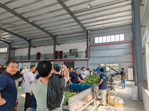 “甜蜜事业”再携手202kaiyun开云网站 Kaiyun开云4热博会产销联动让热带水果越来越热了！(图14)