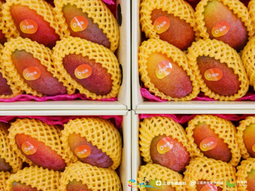 “甜蜜事业”再携手202kaiyun开云网站 Kaiyun开