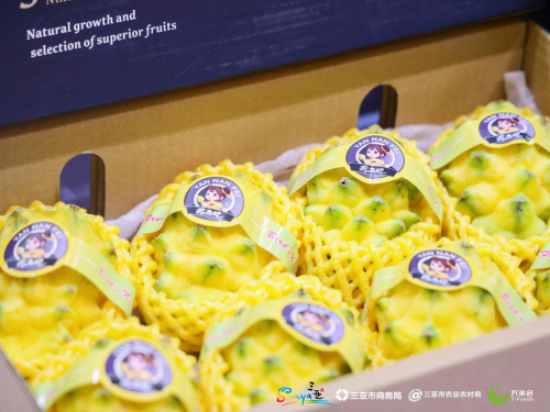 “甜蜜事业”再携手202kaiyun开云网站 Kaiyun开云4热博会产销联动让热带水果越来越热了！(图2)