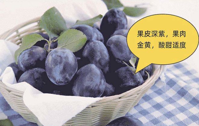 kaiyun网站一种让你愉快拉屎的水果干我劝你千万别多吃！(图14)