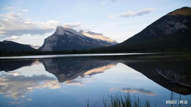 KAIYUN网页 开云com发布！爱店口岸进境水果指定监管场