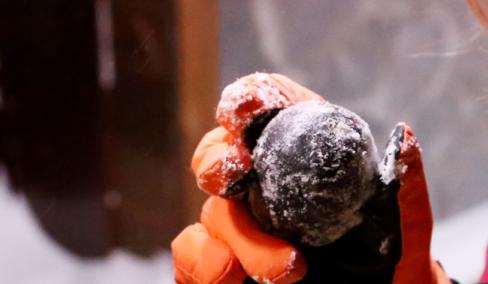 kaiyun开云网站 Kaiyun开云在冬天东北人是这样吃水果的看着都馋了南方人都没吃过(图3)