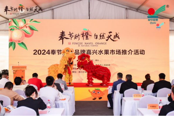 【奉节脐橙闪耀嘉兴自然天成魅力绽放】—2024奉节KAIYUN网页 开云com脐橙品牌嘉兴水果市场推介活动圆满落幕(图3)