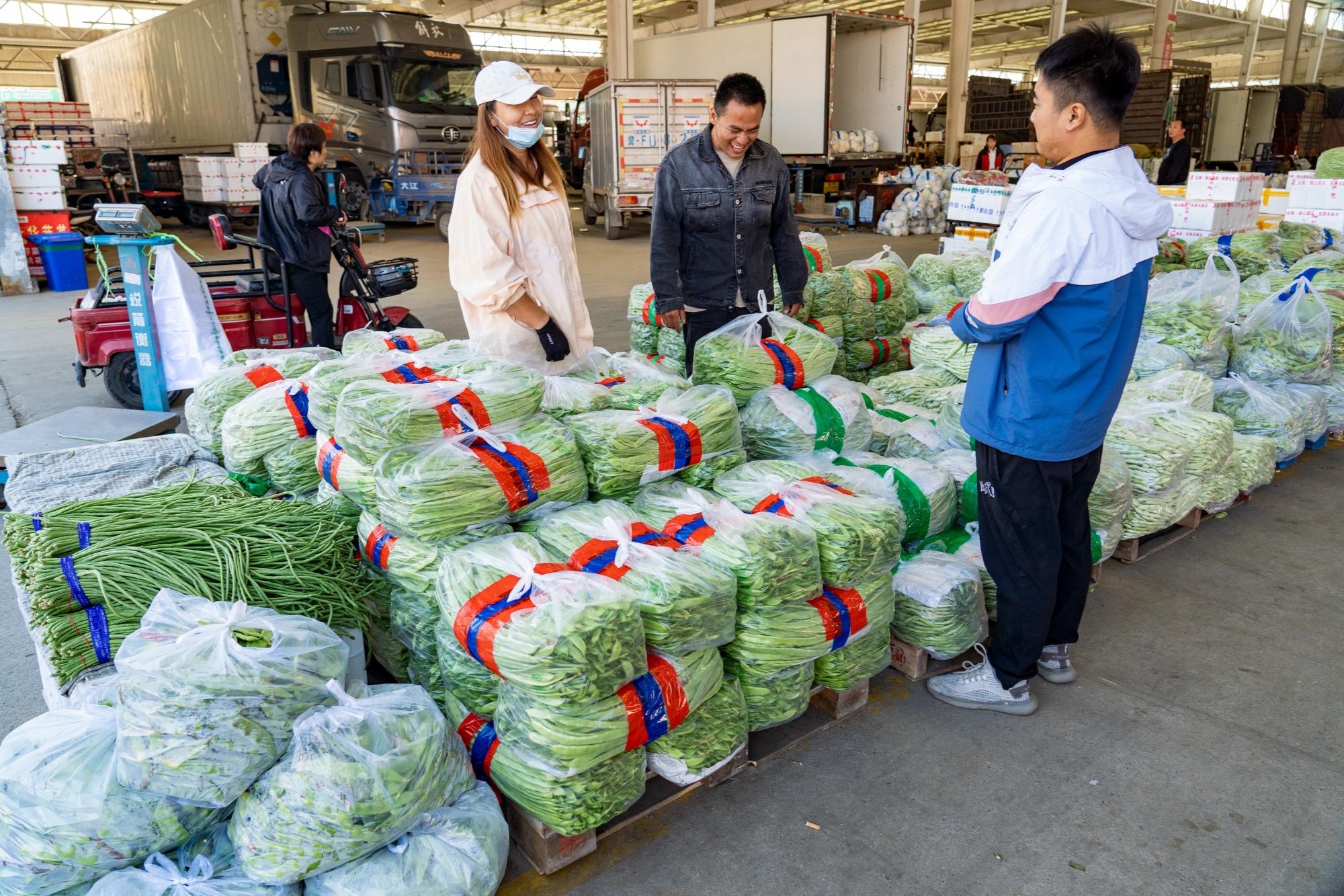 河北高碑店：全力保障冬季果蔬供应货丰价稳(图2)
