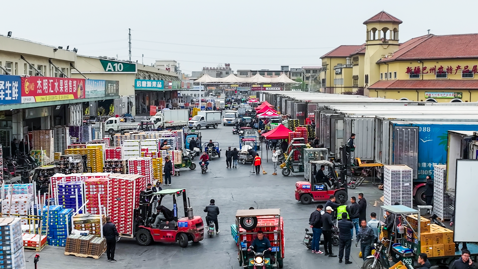河北高碑店：全力保障冬季果蔬供应货丰价稳(图4)