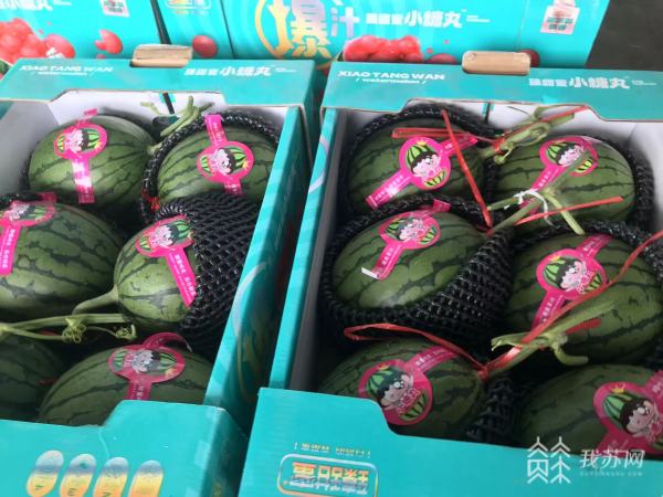 多种水果新鲜上市供应市场 价格将明显回落