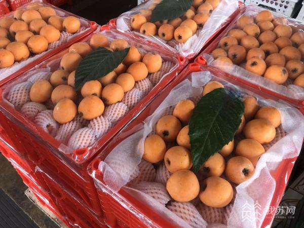 多种水果新鲜上市供应市场 价格将明显回落(图2)