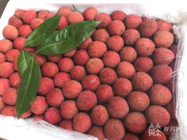 多种水果新鲜上市供应市场 价格将明显回落(图3)