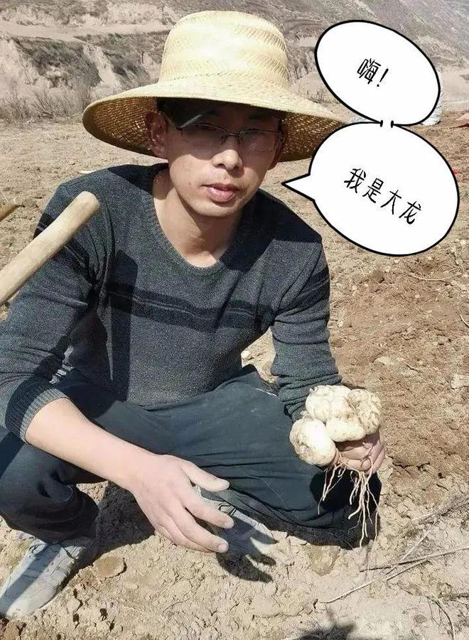 春食兰州鲜百合甜到可当水果吃！象山独有海鲜一鱼三吃处处是宝！