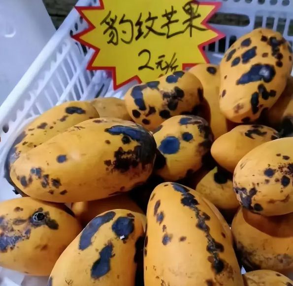 出事了！美女拍到“豹纹芒果”网友：坏水果都到奶茶店了！(图4)