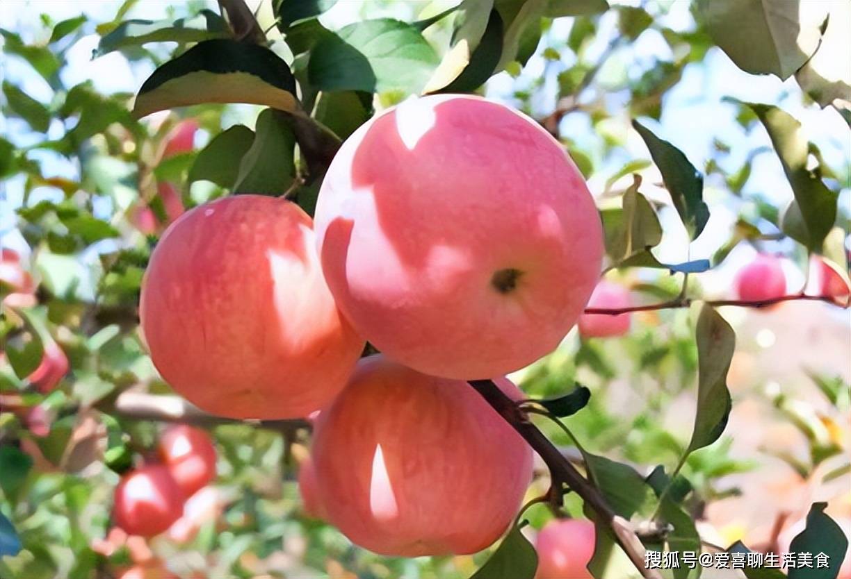 春季该吃的五大水果1清热、2开胃、3提神、4化痰、5防感冒很多人不知道！(图7)