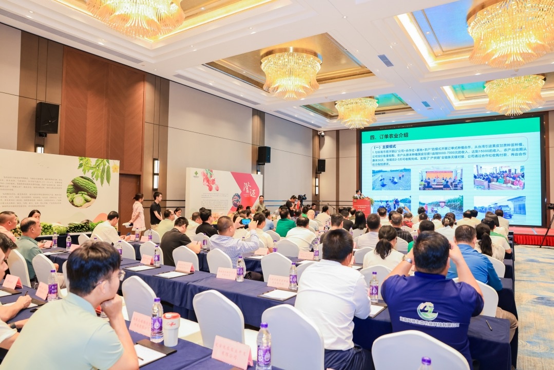 2024年海南瓜果菜(琼海)产销对接订货活动举办(图3)