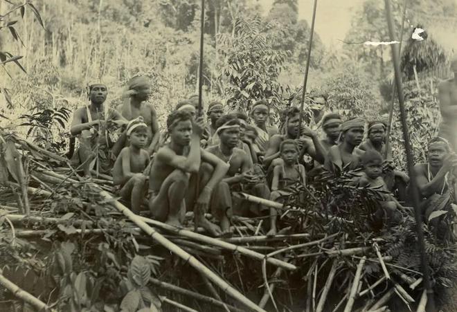 榴莲真的是水果之王吗？揭开一段榴莲在欧洲的“炒作”史(图14)