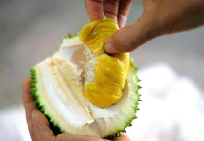 榴莲真的是水果之王吗？揭开一段榴莲在欧洲的“炒作”史(图12)