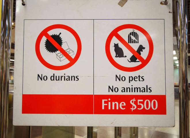 榴莲真的是水果之王吗？揭开一段榴莲在欧洲的“炒作”史(图5)