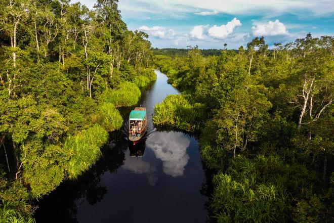 榴莲真的是水果之王吗？揭开一段榴莲在欧洲的“炒作”史(图3)