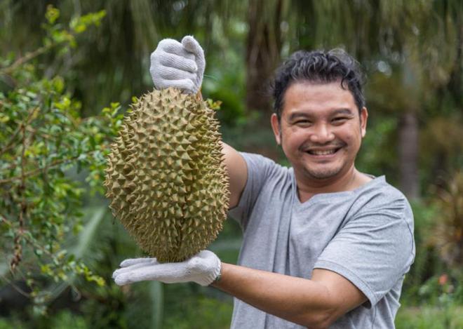 榴莲真的是水果之王吗？揭开一段榴莲在欧洲的“炒作”史(图6)