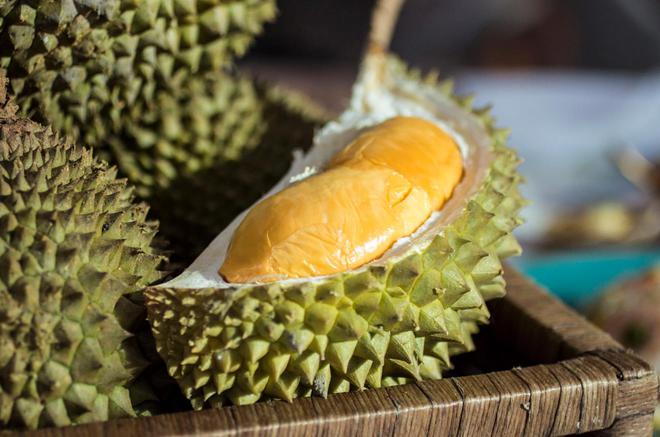 榴莲真的是水果之王吗？揭开一段榴莲在欧洲的“炒作”史(图11)