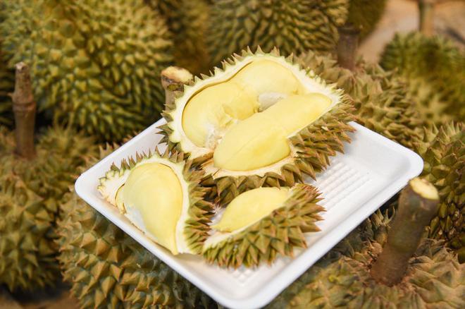 榴莲真的是水果之王吗？揭开一段榴莲在欧洲的“炒作”史(图27)