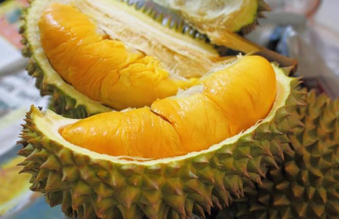 榴莲真的是水果之王吗？揭开一段榴莲在欧洲的“炒作”史(图25)