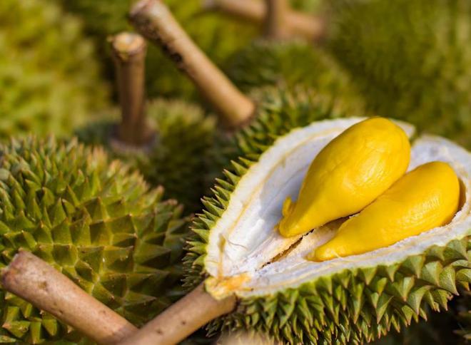 榴莲真的是水果之王吗？揭开一段榴莲在欧洲的“炒作”史(图16)