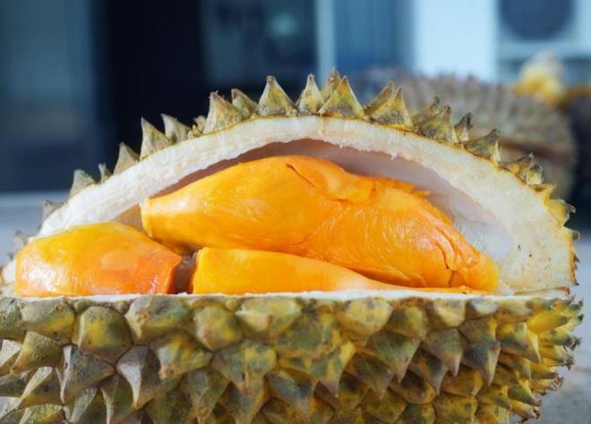 榴莲真的是水果之王吗？揭开一段榴莲在欧洲的“炒作”史(图26)