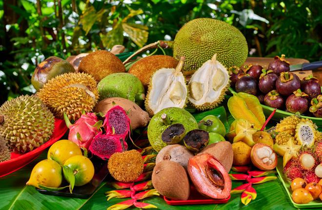 榴莲真的是水果之王吗？揭开一段榴莲在欧洲的“炒作”史(图30)